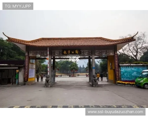 从龙潭公园到世青赛领奖台：群众体育基础如何支撑竞技人才金字塔